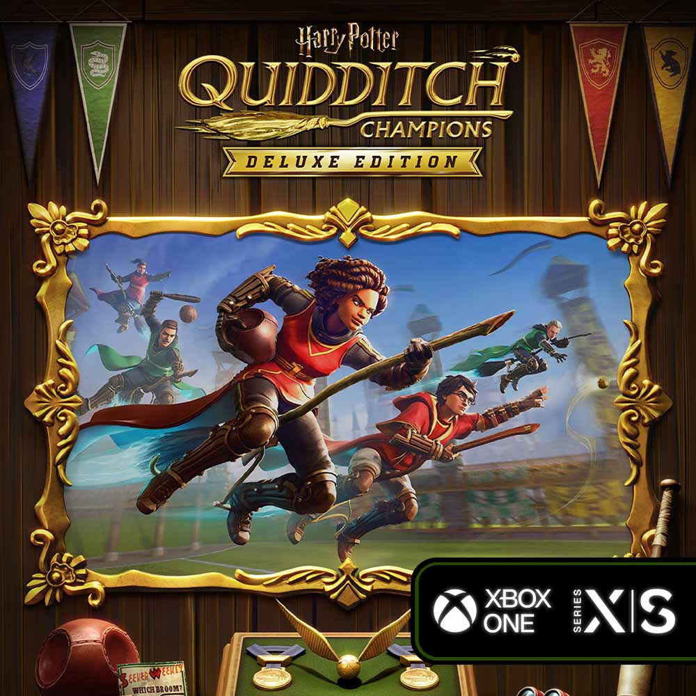 Harry Potter Quidditch Champ Deluxe