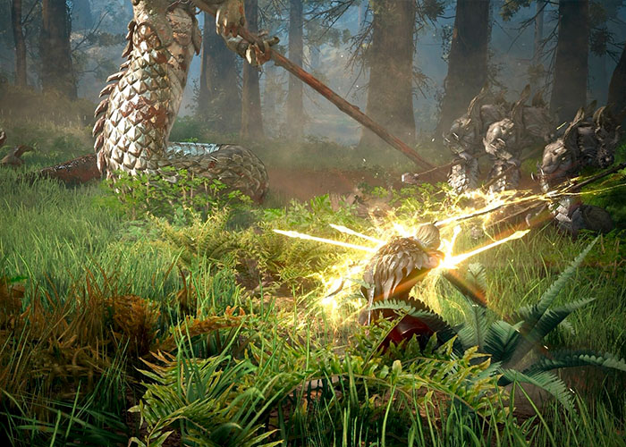 screenshot_Black Desert: Standard Edition