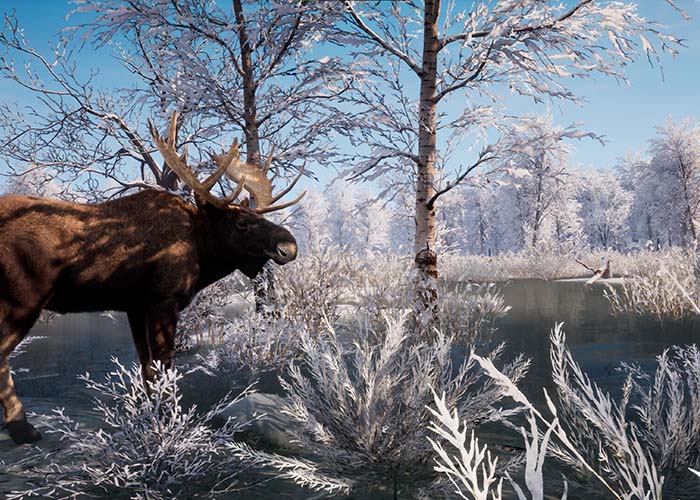 screenshot_Medieval & Sengoku Dynasty Bundle