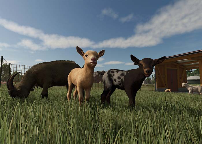 screenshot_Farming Simulator 25: Year 1 Bundle