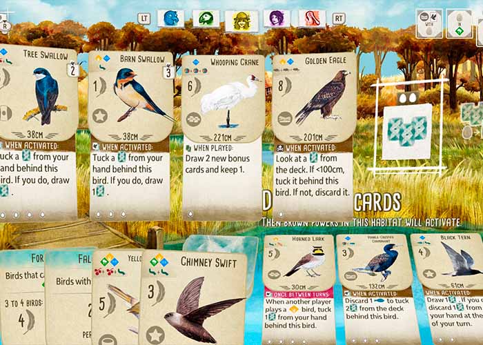 screenshot_Birds and Cats