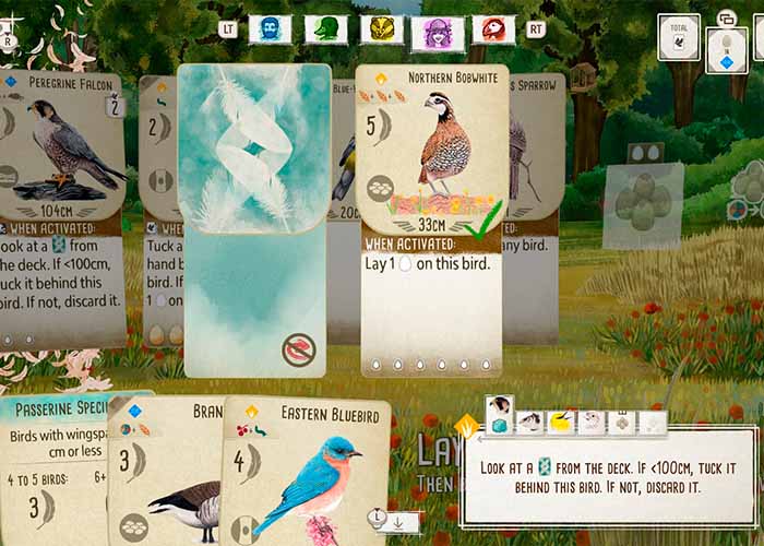 screenshot_Birds and Cats