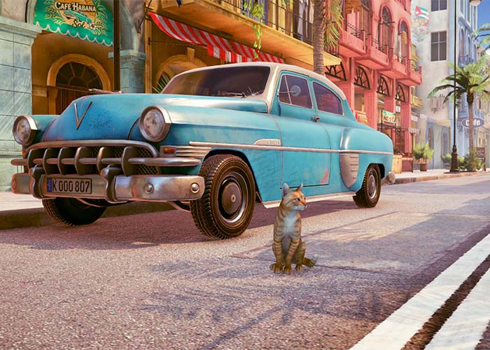 screenshot_Little Strays - Havana