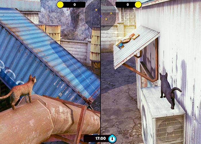 screenshot_Little Strays - Havana