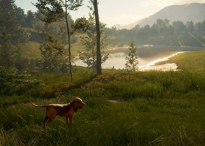 screenshot_theHunter: Call of the Wild - Hunting Starter Bundle