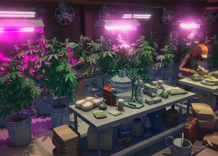 screenshot_Schedule I: Dope Empire