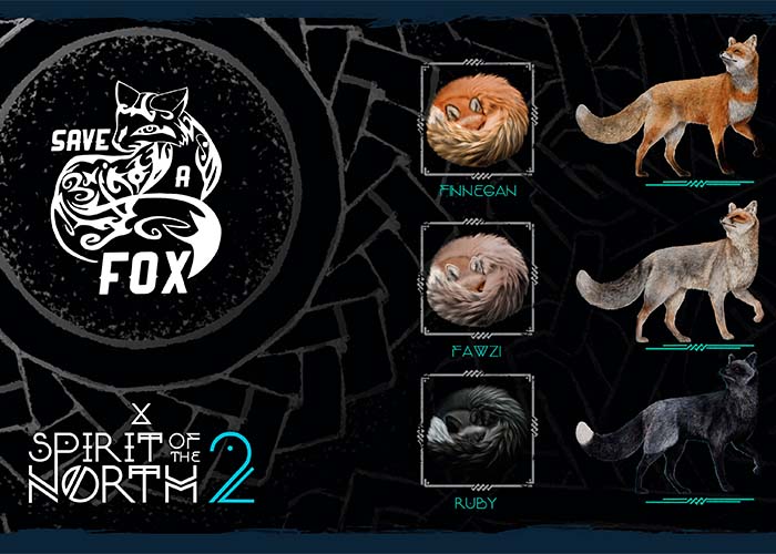 screenshot_Spirit of the North 2 Deluxe Edition