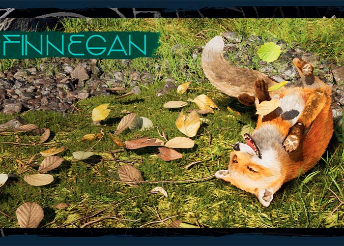 screenshot_Spirit of the North 2 Deluxe Edition