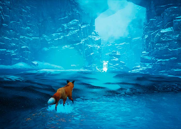 screenshot_Spirit of the North 1 & 2 Bundle