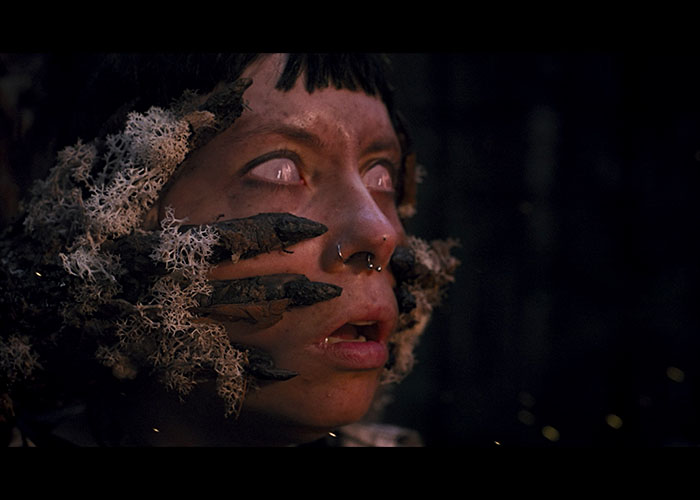 screenshot_Heart of the Forest