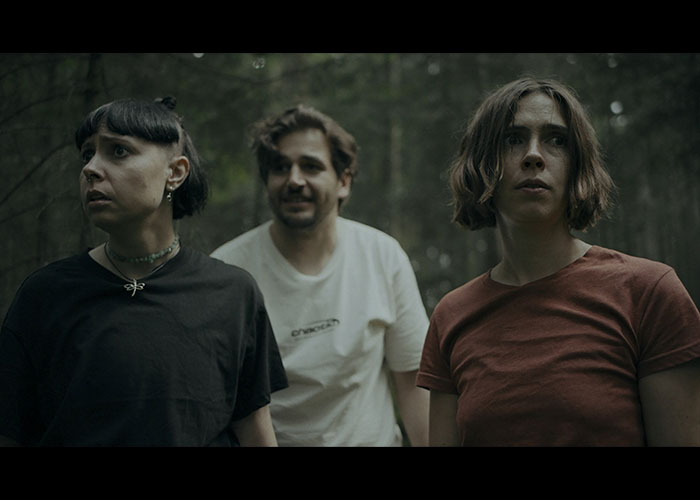 screenshot_Heart of the Forest