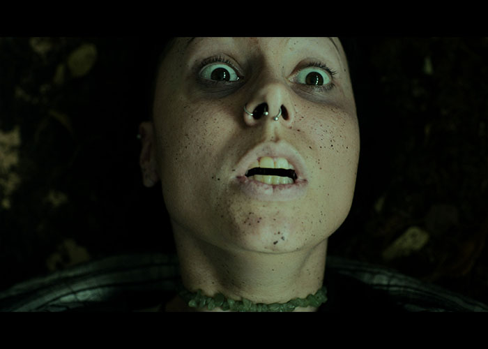 screenshot_Heart of the Forest