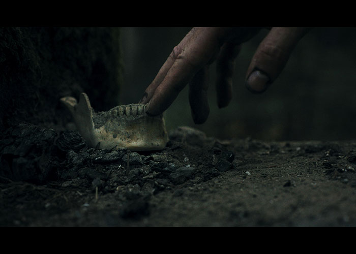 screenshot_Heart of the Forest