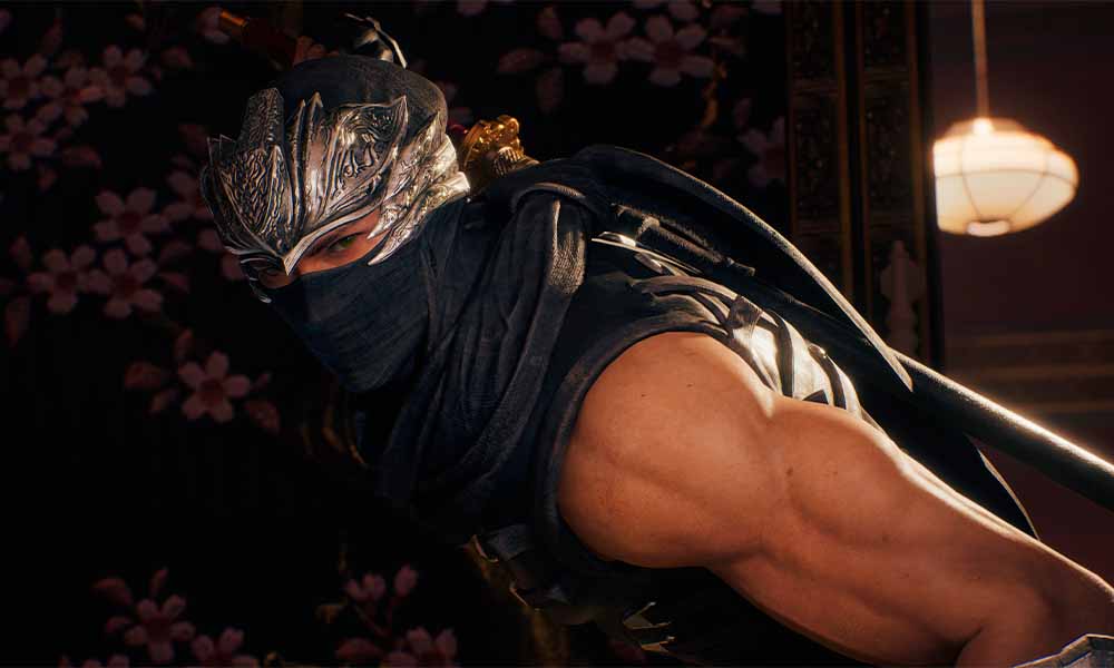 screenshot_NINJA GAIDEN 2 Black