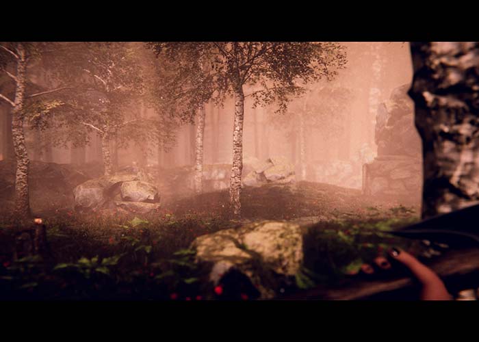 screenshot_Project Songbird