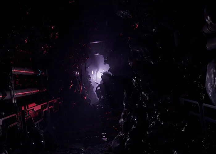 screenshot_Directive 8020