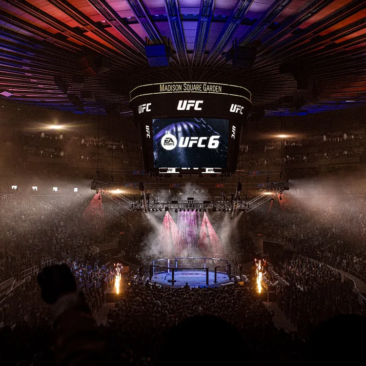 screenshot_UFC 6 Ultimate Edition