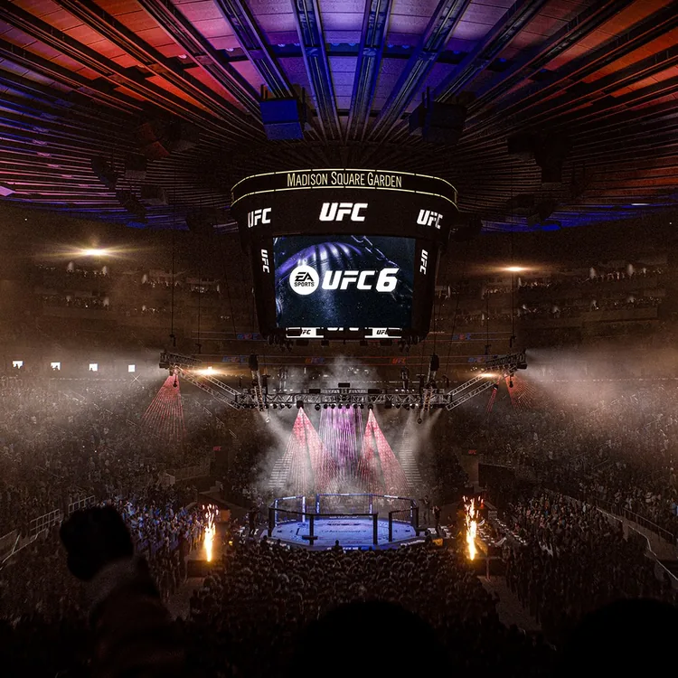 screenshot_UFC 6