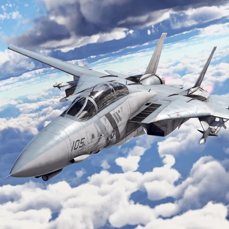 screenshot_War Thunder - F-14D Pack