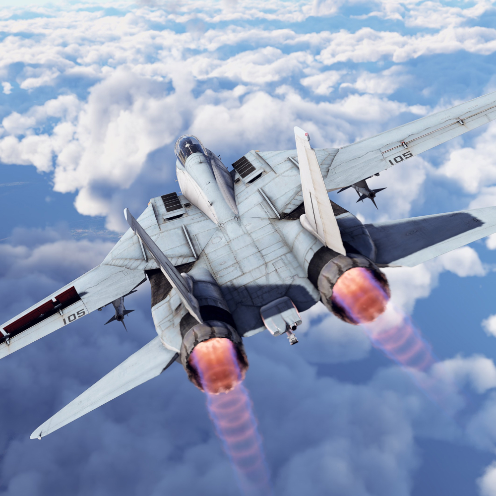 screenshot_War Thunder - F-14D Pack