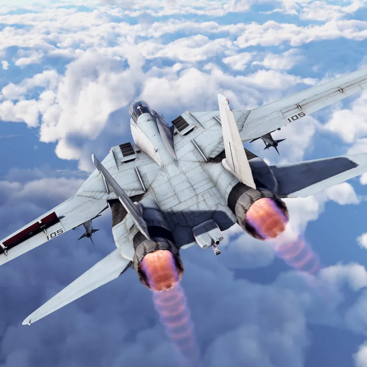 screenshot_War Thunder - F-14D Pack