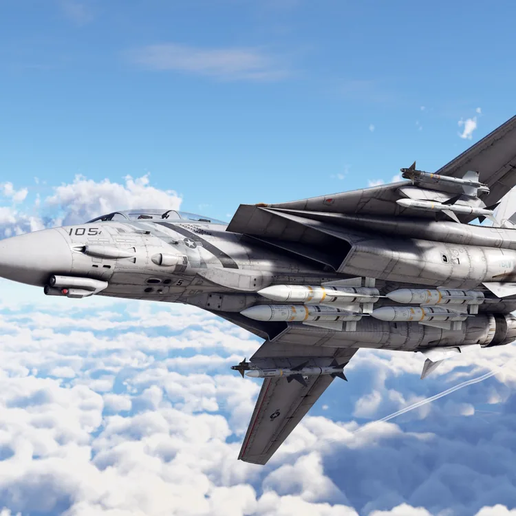 screenshot_War Thunder - F-14D Pack