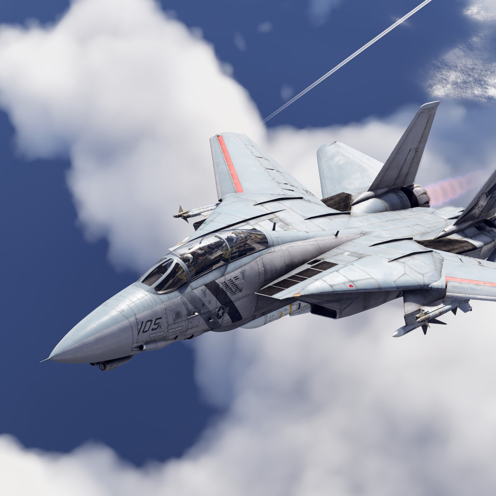 screenshot_War Thunder - F-14D Pack