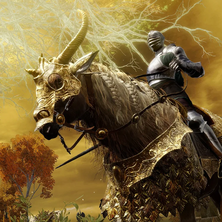 screenshot_ELDEN RING Tarnished Pack
