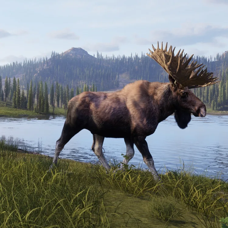 screenshot_Way of the Hunter 2 - Deluxe Edition
