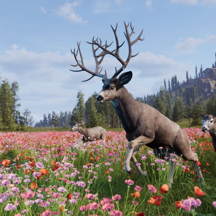 screenshot_Way of the Hunter 2 - Deluxe Edition