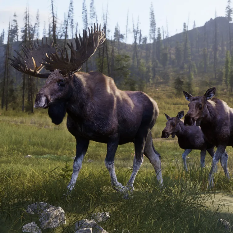 screenshot_Way of the Hunter 2