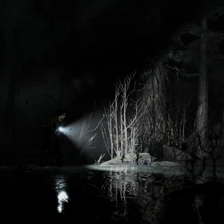 screenshot_Silver Pines