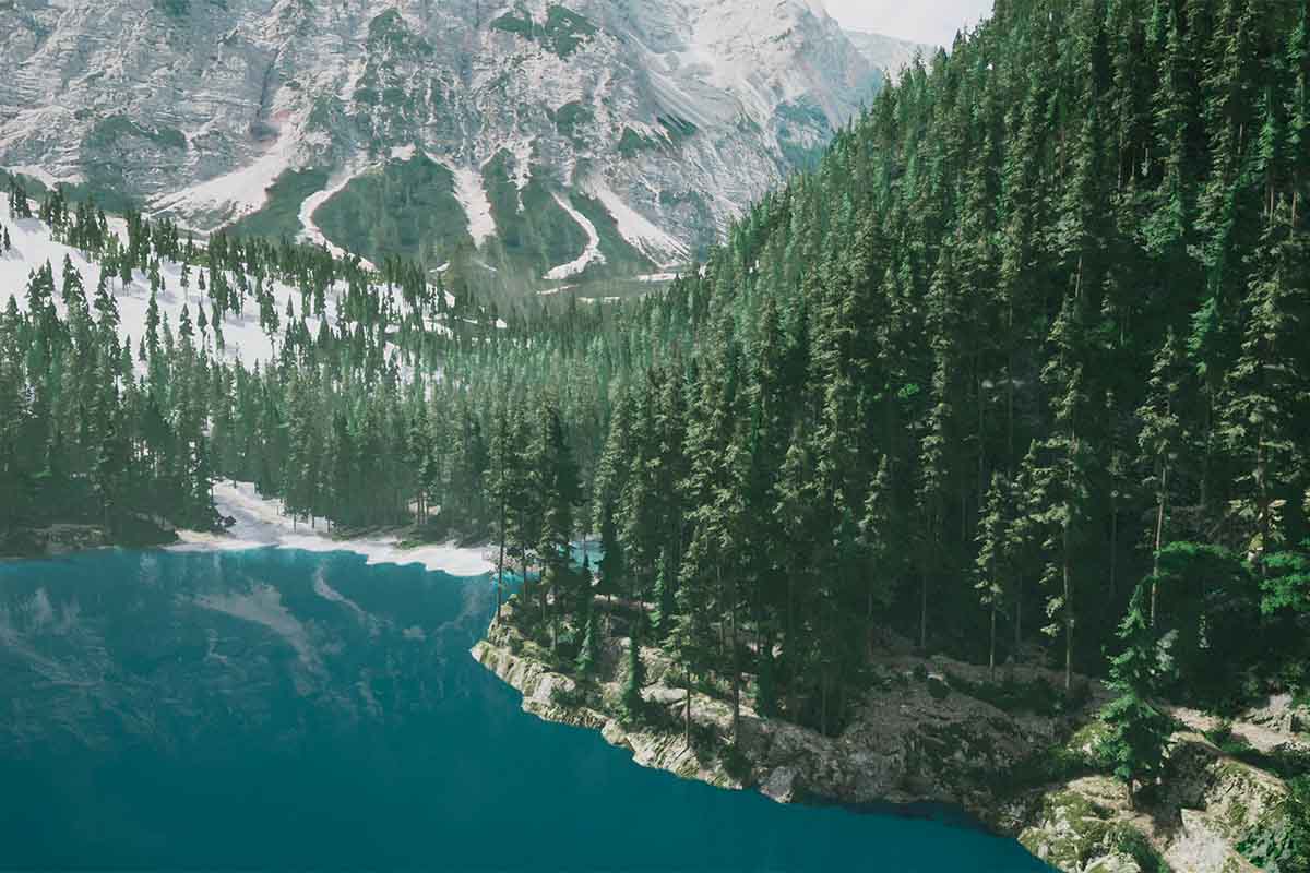 screenshot_Lushfoil Photography Sim