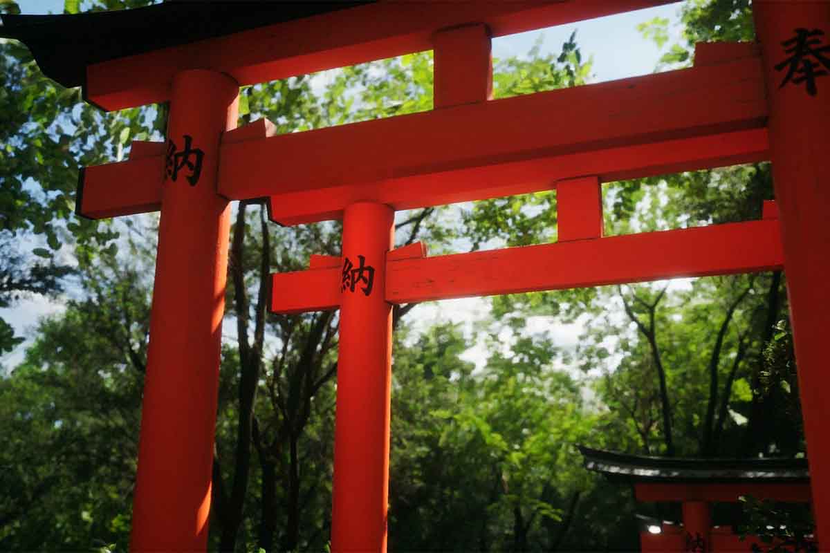 screenshot_Lushfoil Photography Sim