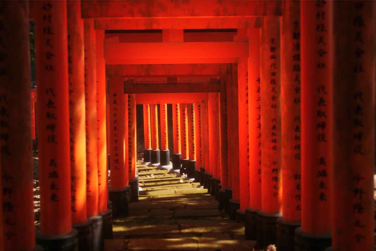 screenshot_Lushfoil Photography Sim