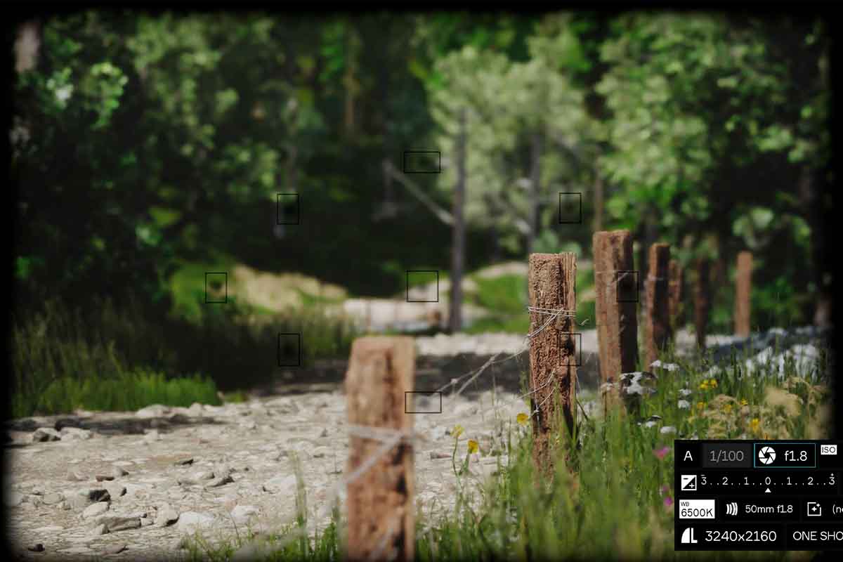 screenshot_Lushfoil Photography Sim