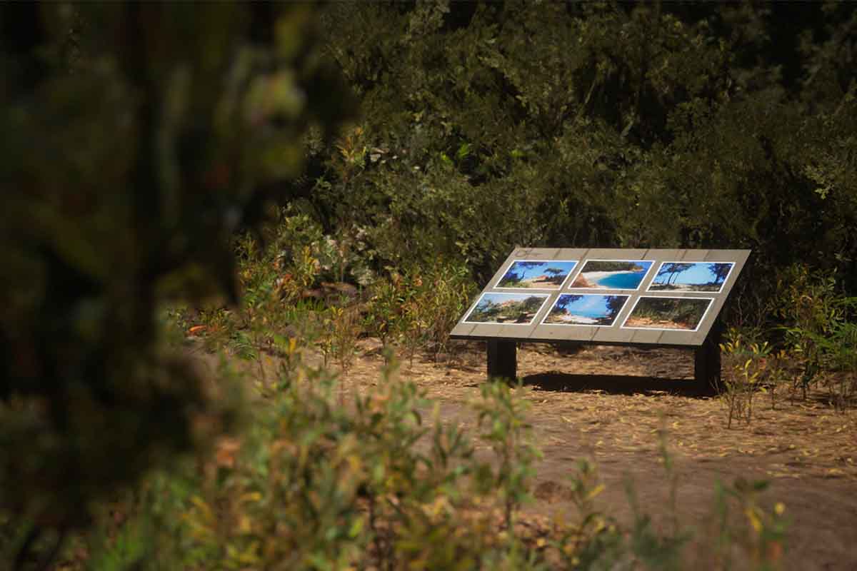 screenshot_Lushfoil Photography Sim